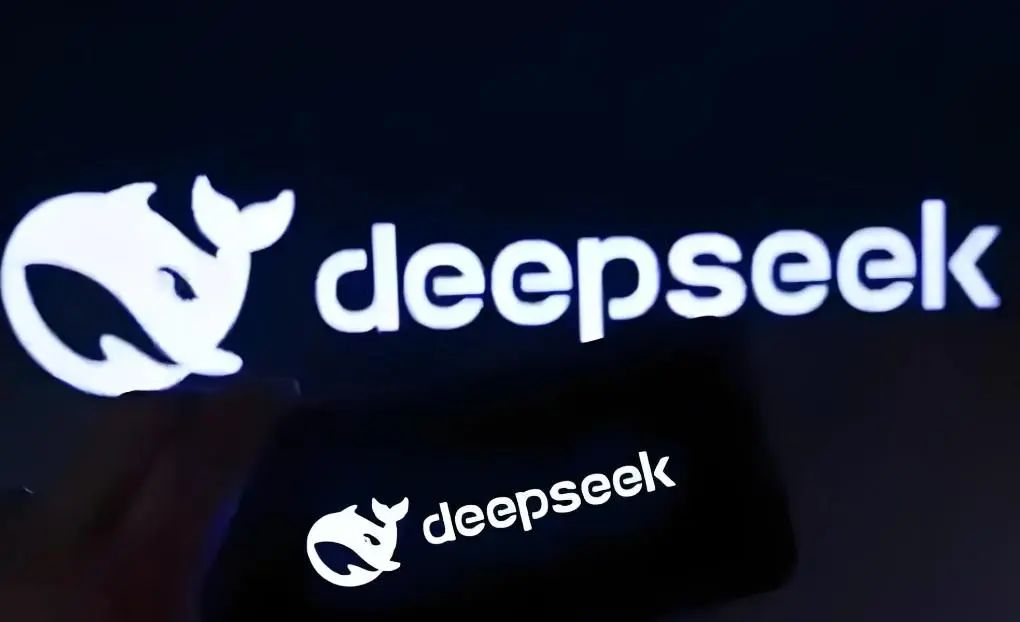 用好Deepseek，看这一篇就够了